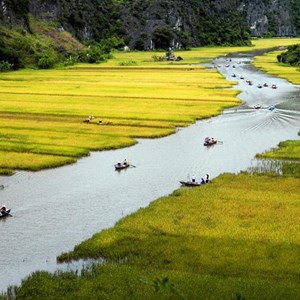 TUYỆT TỊNH CỐC - TAM CỐC - HANG MÚA